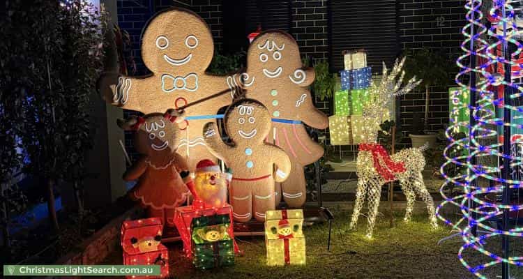 Christmas Light display at  Pine Avenue, Virginia