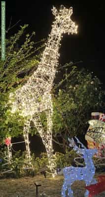 Christmas Light display at 12 Erica Avenue, Mount Claremont