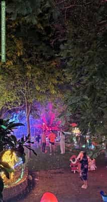 Christmas Light display at 815 Clayton Road, Boya