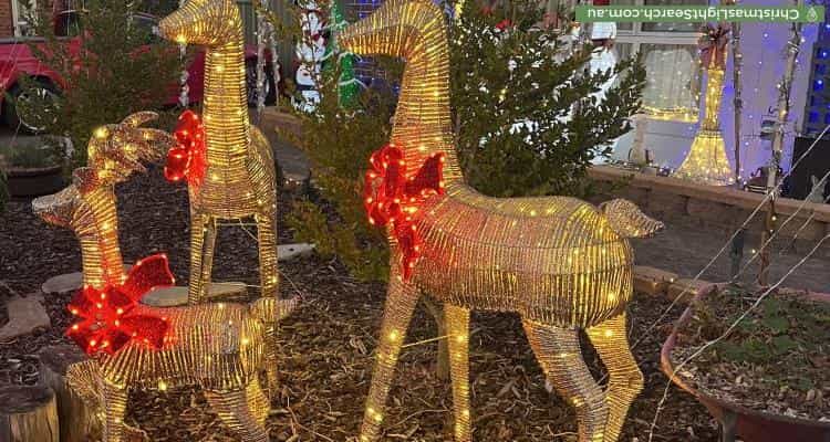 Christmas Light display at 26 Reveley Crescent, Stirling