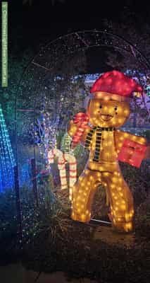 Christmas Light display at 4 Casilda Street, Harrison