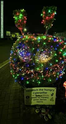 Christmas Light display at 12 Cedar Street, Munno Para West