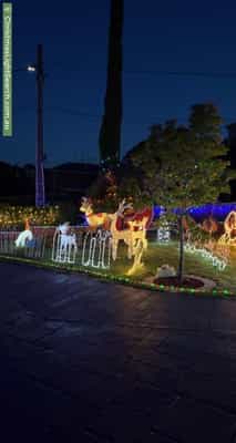 Christmas Light display at 18 Belvoir Street, Doncaster East