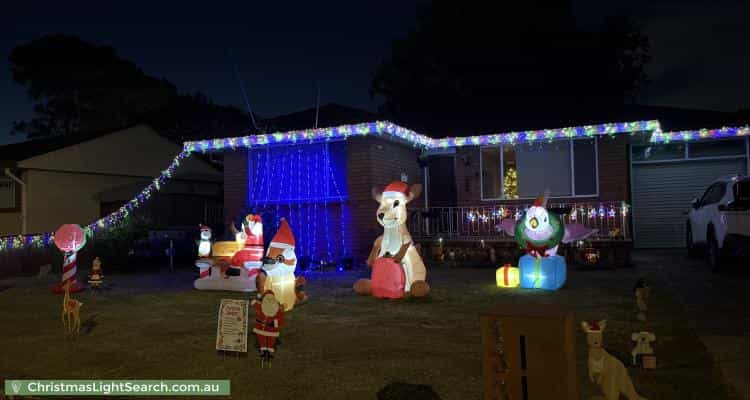 Christmas Light display at 133 Metella Road, Toongabbie