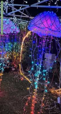 Christmas Light display at 7 Amy Street, Donnybrook