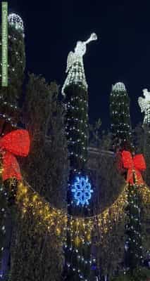 Christmas Light display at 46 Briggs Street, Caulfield