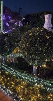 Christmas Light display at 46 Briggs Street, Caulfield