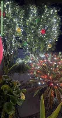 Christmas Light display at 83A Park Road, Cheltenham