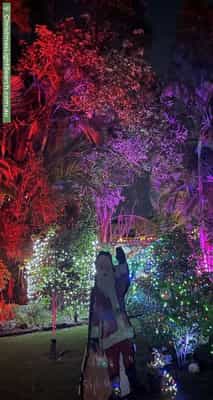 Christmas Light display at  Vincent Street, Calamvale
