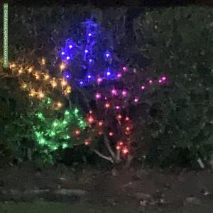 Christmas Light display at 38 Evelyn Avenue, Turramurra