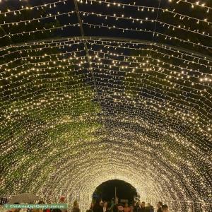 Christmas Light display at 1 Solent Circuit, Norwest