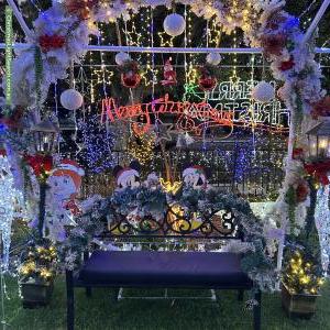 Christmas Light display at 143 Langford Avenue, Langford