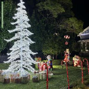 Christmas Light display at 236 Woodland Street, Strathmore