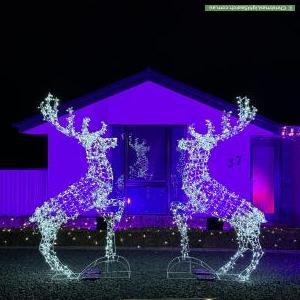 Christmas Light display at 37 Proserpine Circuit, Amaroo