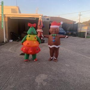 Christmas Light display at 210 Wilsons Road, Newcomb