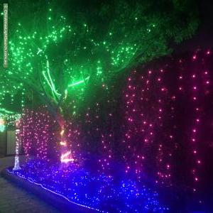 Christmas Light display at 74 Warbler Street, Erskine Park