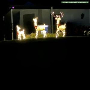 Christmas Light display at 8 Park Avenue, Plenty