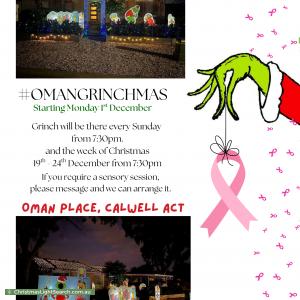 Christmas Light display at 3 Oman Place, Calwell