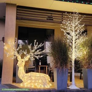 Christmas Light display at 7 Gardenvale Court, Norman Gardens