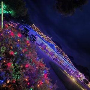 Christmas Light display at 9 Palomino Court, Roseworthy