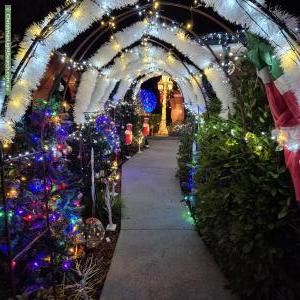Christmas Light display at Jennifer crescent, Bayswater north