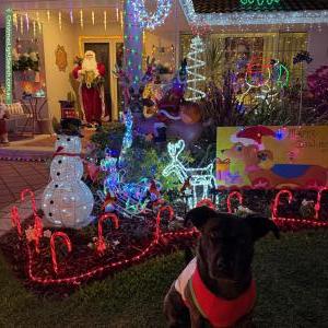Christmas Light display at 6 Anacapri Road, Hillarys