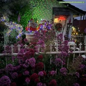 Victoria christmas lights map