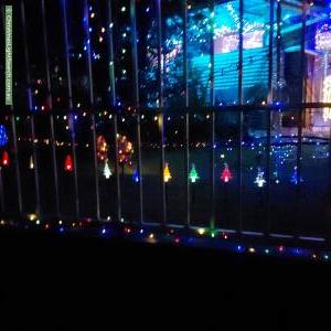 Christmas Light display at 55 Cupania Street, Algester