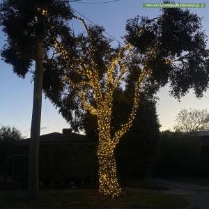 Christmas Light display at 13 Fulham Close, Frankston South