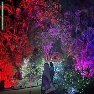 Christmas Light display at  Vincent Street, Calamvale
