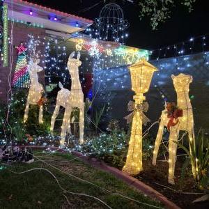 Christmas Light display at 20 Sorrento Parade, Hayborough